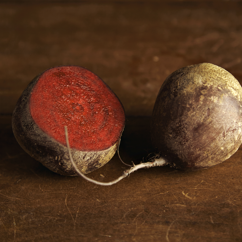 Robin Beet (Beta vulgaris) | Terre promise